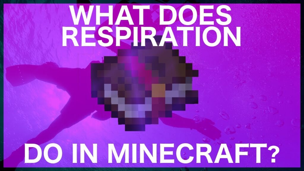 Respiration In Minecraft
